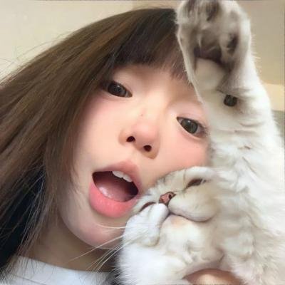 完美的独裁国家